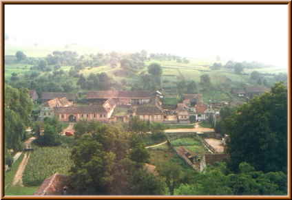 Image of alm_mitte3.jpg