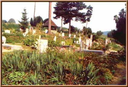 Image of friedhof3.jpg