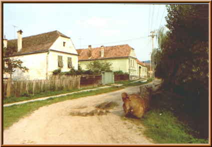 Image of ober_almen1.jpg