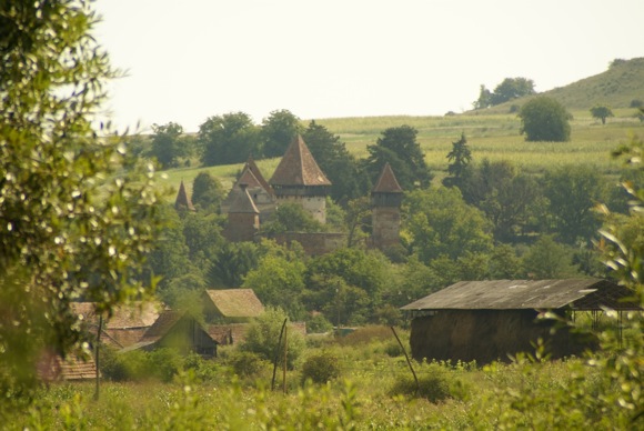 Auf dem Fußweg von Meschen nach Almen sehen wir die Burg hinter den Bäumen zu ersten Mal...