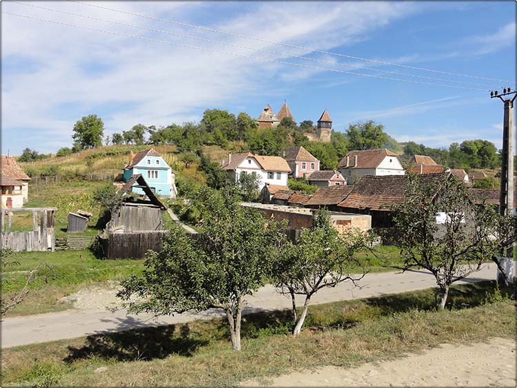 Bilder aus Almen 2012