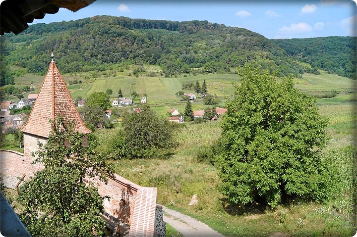 Das erste Treffen in Almen - August 2017