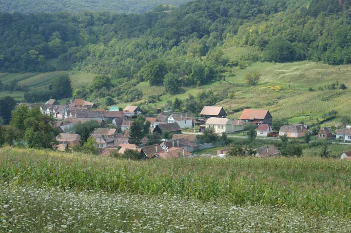 Almen August 2009