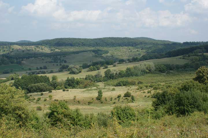 Almen August 2009