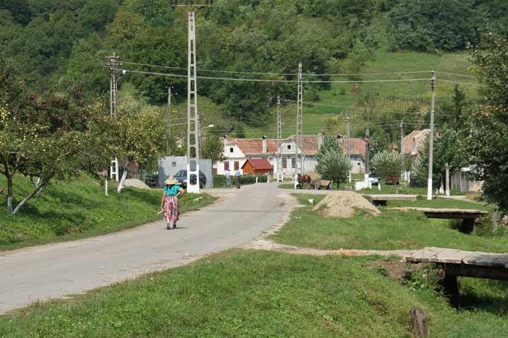 Almen August 2009