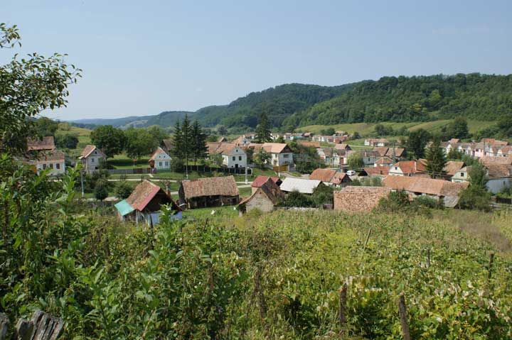 Almen August 2009