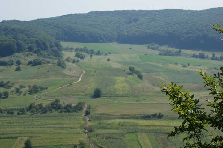 Almen August 2009