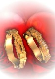 Thumbs/tn_hz15.jpg